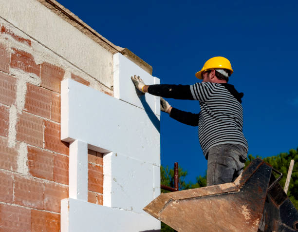 Types of Insulation We Offer in Hollywood, SC