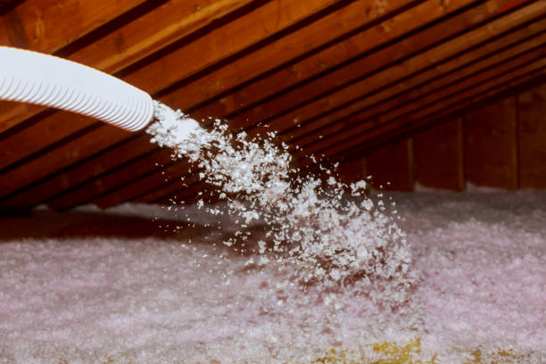 Best Cellulose Insulation in Hollywood, SC