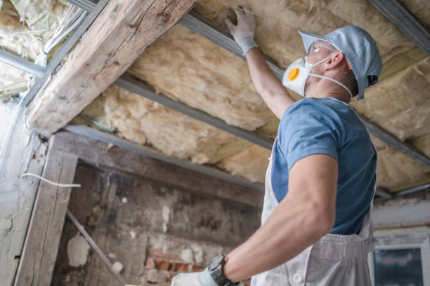 Best DIY Insulation Kits and Guidance in Hollywood, SC