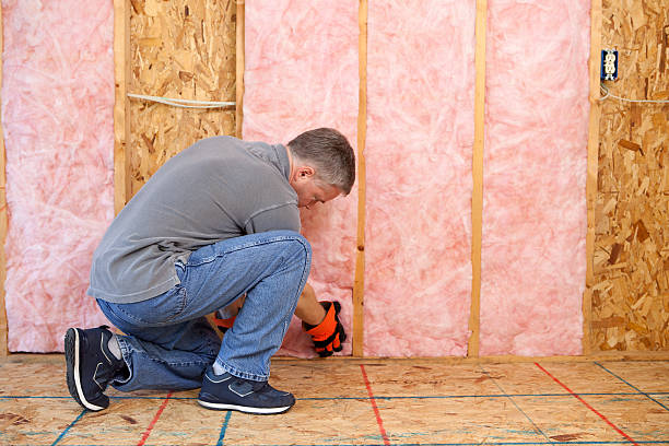 Best Eco-Friendly Insulation in Hollywood, SC